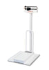 Wheelchair Scale, Weighbeam, Wheelchair Ramp, 450 lb x 4 oz (DROP SHIP ONLY)