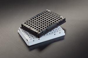 Opaque Skirted 96 Thin Walled PCR Plate, Black, 10/bg, 10 bg/cs