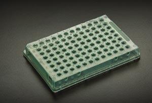 Skirted 96 Thin Walled PCR Plate, Natural, 10/bg, 10 bg/cs