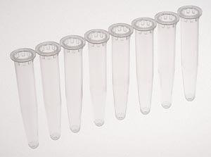 Accessories: Strip of 8 Tubes, 600ul, Polypropylene, 120/pk, 5 pk/cs