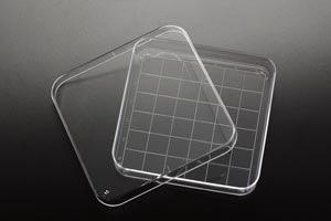 Petri Dish, 15 x 90 x 90mm, 10/slv, 50 slv/cs