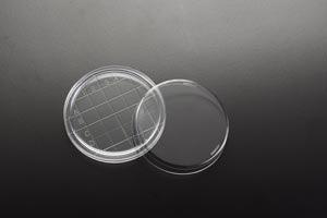Petri Dish, 65 X 15mm, Contact Plate, 20/slv, 25 slv/cs