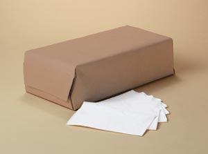 Scott Dinner Napkins, 2-Ply, 1/8 Fold, 300/pk, 10 pk/cs