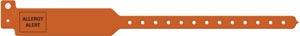 Wristband, Adult, 12