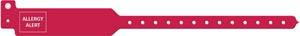 Wristband, Adult, 12