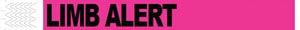 Wristband, Tyvek, 1