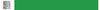 Wristband, Tyvek 1", Solid Green, 1000/bx