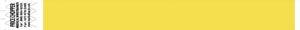 Wristband, Tyvek 1