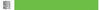 Wristband, Tyvek 1", Solid Lime Green, 1000/bx