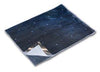 Acticoat™, 5" x 5" Dressing, 5/bx, 5 bx/cs