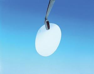 Filter Circles, 13mm Dia, Nuclepore Track-Etched Polycarbonate PVP-Free (hydrophobic), 8.0µm Pore Size, 100/pk