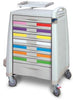 Standard Cart, 43" H X 24" D X 31" W, PEDCRASH  Break Away Lock, (8) 3" Drawers, (1) 6" Drawers and  Factory Installed Broselow Pediatric Resuscitation Color Label Kit  (DROP SHIP ONLY)