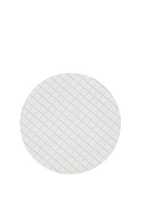 Membrane Filtration, ME24 (Mixed Cellulose Ester), 50mm Dia, 0.2µm, White, 3.1mm/ Black Grid, Sterile For Use with Whatman Membrane-Butler, 400/pk