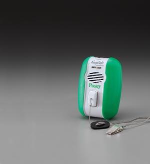 KeepSafe Essential with AC Power, Magnet Plate (Continental US + HI Only) (To Be DISCONTINUED)