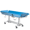 TR Equipment TR3200L Battery Operated Shower Trolley- Large  Bed