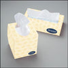 Surpass Facial Tissue, 2-Ply, Flat Dispenser Box, 8" x 8.3", 100 sheets/bx, 30 bx/cs